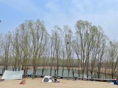 -东郊湿地公园
