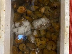 -揭阳钟记小食(福田新村店)