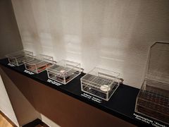 -丹麦国家博物馆