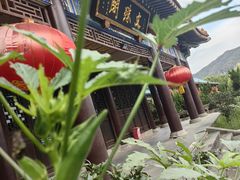 -天下玉苑