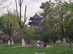 -堤角公园