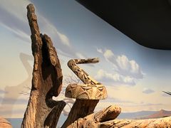 -陕西自然博物馆