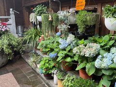 -龙姐私房菜(和顺古镇店)