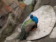 -哈尔滨北方森林动物园