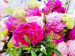 -花鸟鱼虫鲜花绿植市场(玉泉路店)
