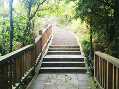 -鼓岭旅游度假区