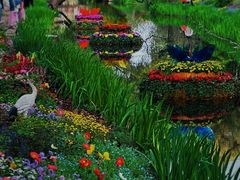 -上海共青森林公园