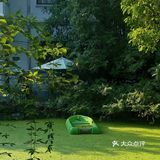 咖啡日常|绿意景浓的绿狗咖啡