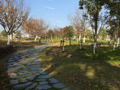 -白塘生态植物园