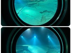 -白鹤梁水下博物馆