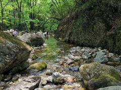 -牛背梁国家森林公园