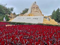 -彩色沙林风景区