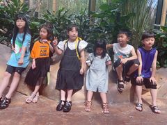 -杭州开元森泊度假乐园