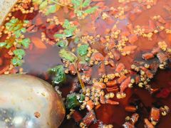 -味之绝热血美蛙鱼火锅(中坝店)