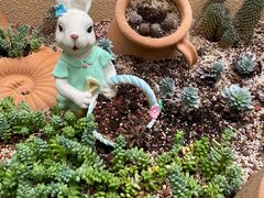 -正佳雨林生态植物园