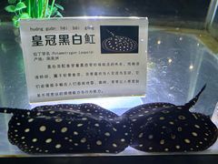-邯郸海洋世界