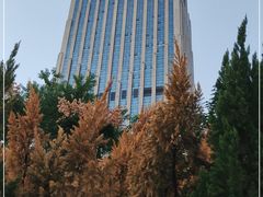-合肥皇冠假日酒店·菲亚斯特自助餐厅(黄山路店)