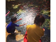 -水磨沟公园