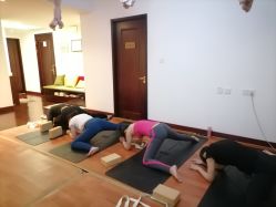 -Yvon yoga 瑜伽·精准体态管理中心