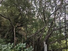 -中国船政文化博物馆