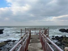 -养马岛旅游度假区
