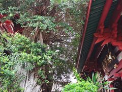 -叩齿古寺