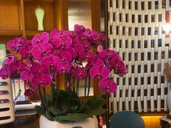 -栾氏荟(柳园店)