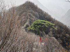 -秦岭终南山世界地质公园翠华山景区