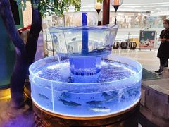 -佬麻雀·剁椒鱼头(京基KK One店)