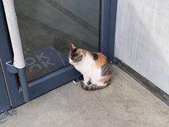 -隹木咖啡馆(宝龙广场店)