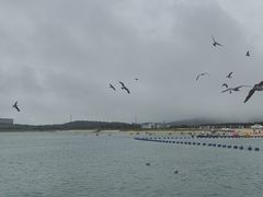 -海驴岛(荣成市)