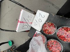 -鑫朱雀农贸批发市场