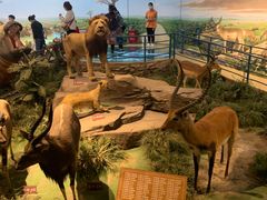 -陕西自然博物馆