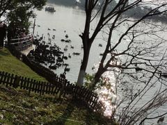 -艾溪湖湿地公园