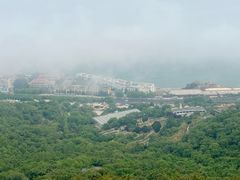 -石老人观光园