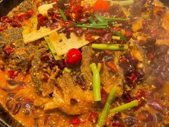 -老板恋上鱼(印象城店)