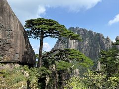 -黄山风景区