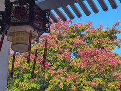 -筼筜书院