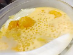 -糖朝(尖沙咀店)