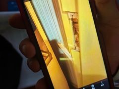 -维也纳国际酒店·上海虹桥火车站国家会展中心店