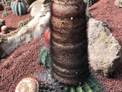 -南通洲际绿博园