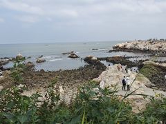 -养马岛旅游度假区