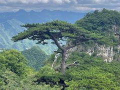 -圣莲山风景区