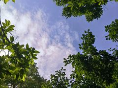 -龙头寺公园