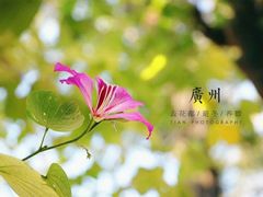 -星巴克(广州南站A18检票口楼上)