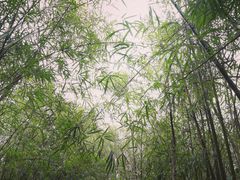 -东部华侨城