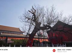 -药王庙(安国市)