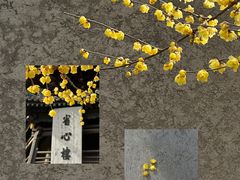 -西安化觉巷清真大寺