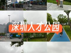 -深圳人才公园