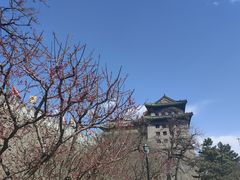 -北京明城墙遗址公园
